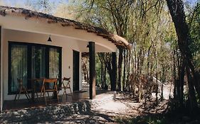 Lodge Atacama Horse